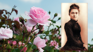 Nowenna do św. Teresy od Dzieciątka Jezus. Historia, tekst i zasady dobrego odmawiania