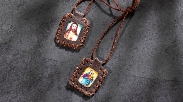 BROWN SCAPULAR