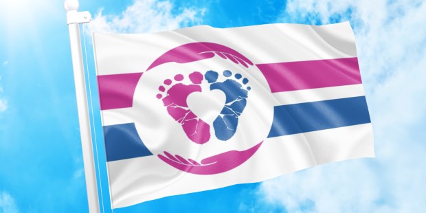 PRO LIFE FLAG PROJECT