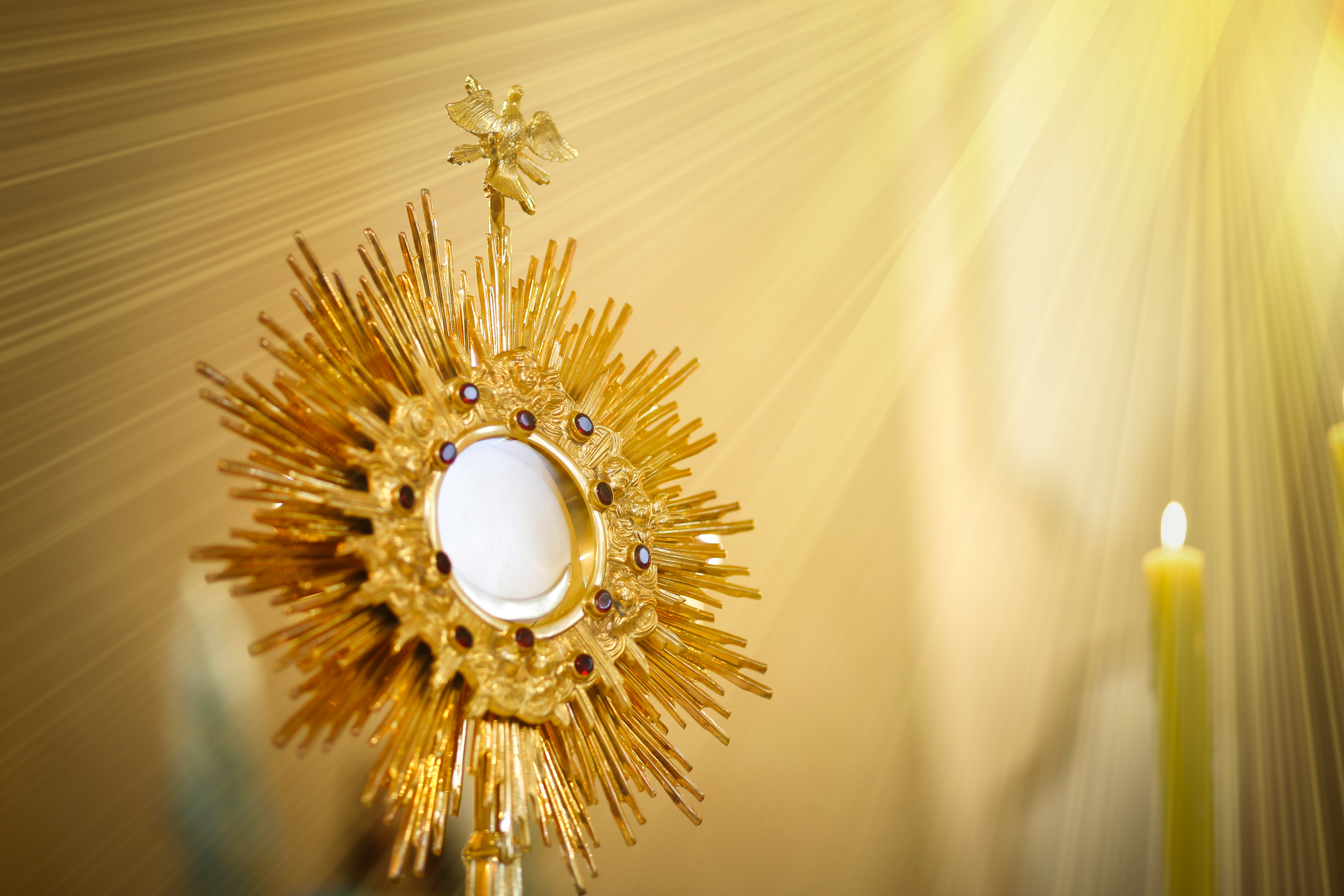 {"rendered":"[GALERIA] 12 pi\u0119knych cytat\u00f3w o Eucharystii z pism Ojc\u00f3w Ko\u015bcio\u0142a i pisarzy wczesnochrze\u015bcija\u0144skich"}