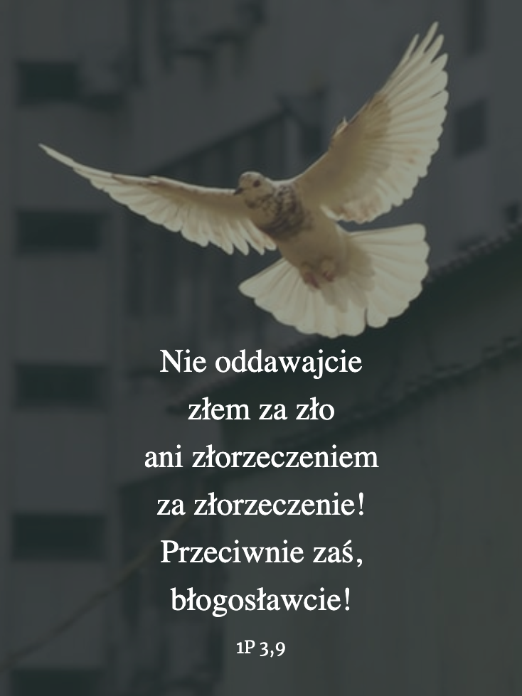Cytat z Biblii dla ciebie na dziś [11 sierpnia]