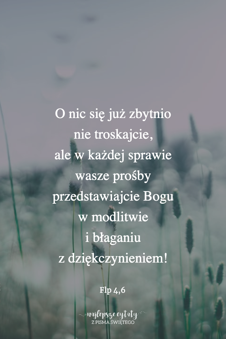 Cytat z Biblii dla ciebie na dziś [7 sierpnia]