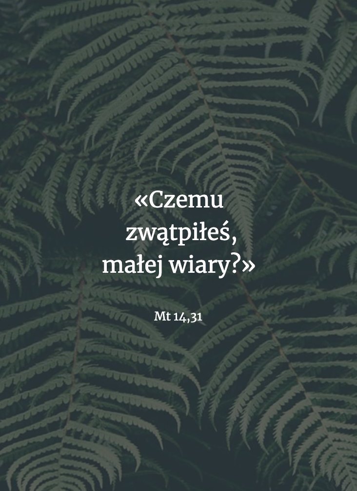 Cytat z Biblii dla ciebie na dziś [19 września]