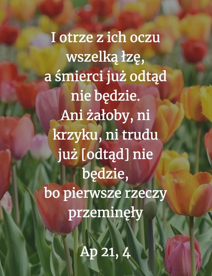 Cytat z Biblii dla ciebie na dziś [25 października]