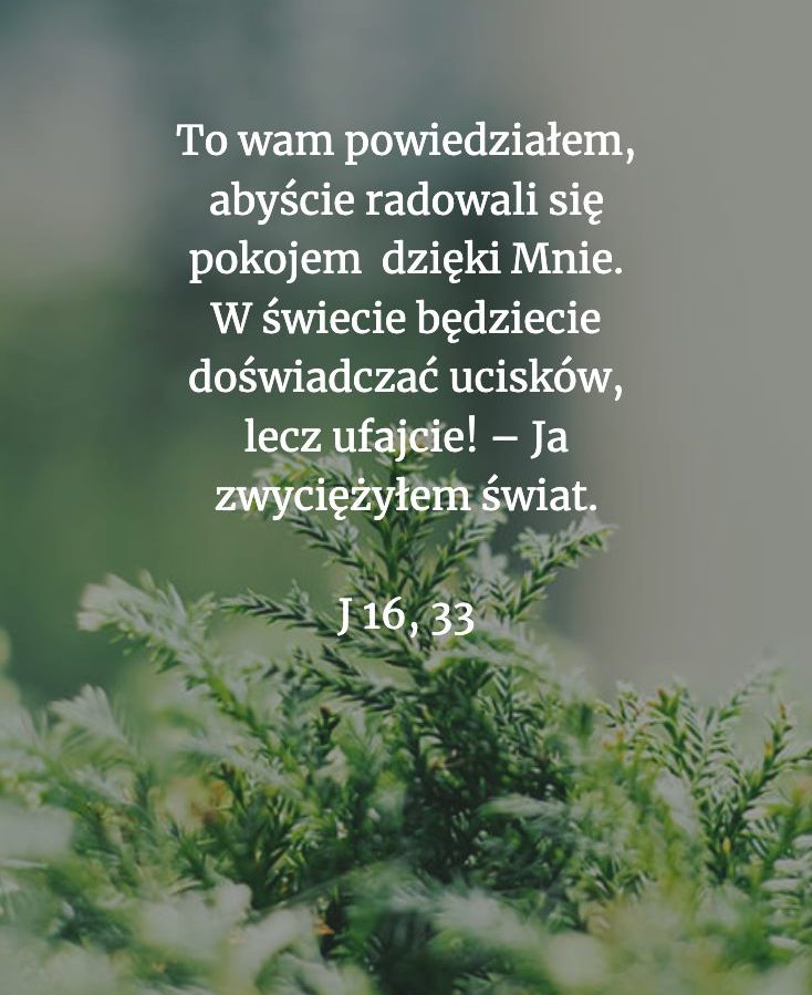 Cytat z Biblii dla ciebie na dziś [4 października]