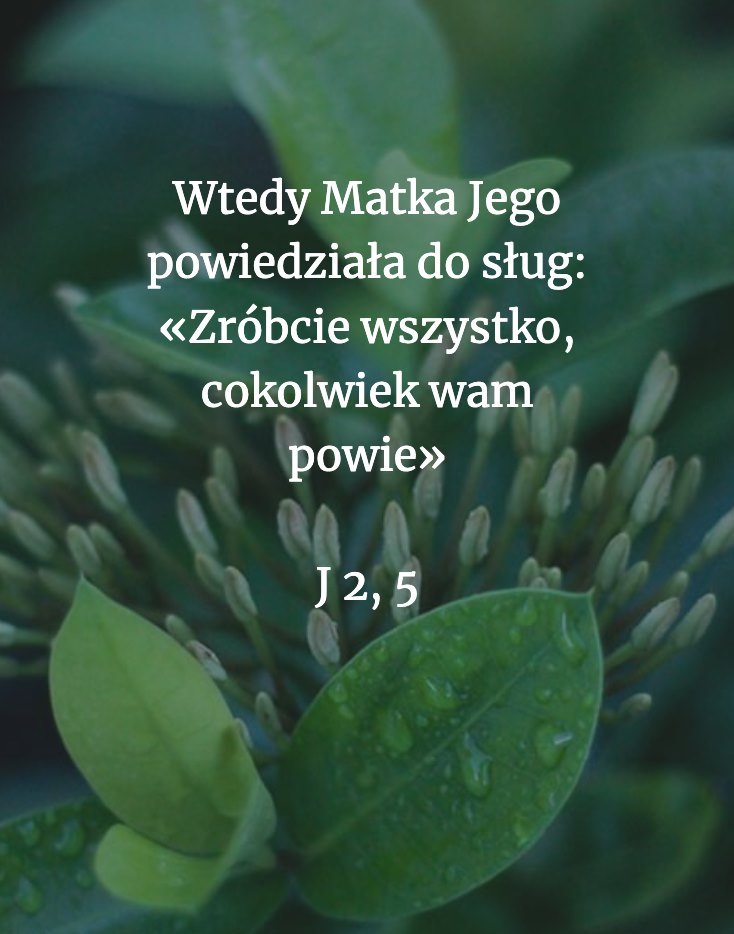 Cytat z Biblii dla ciebie na dziś [30 października]