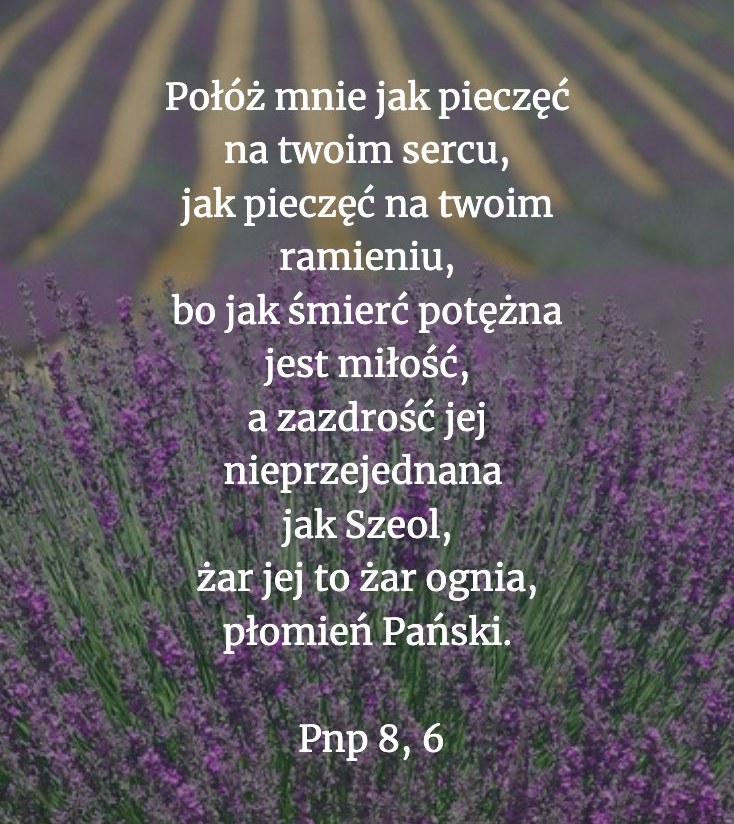 Cytat z Biblii dla ciebie na dziś [15 października]