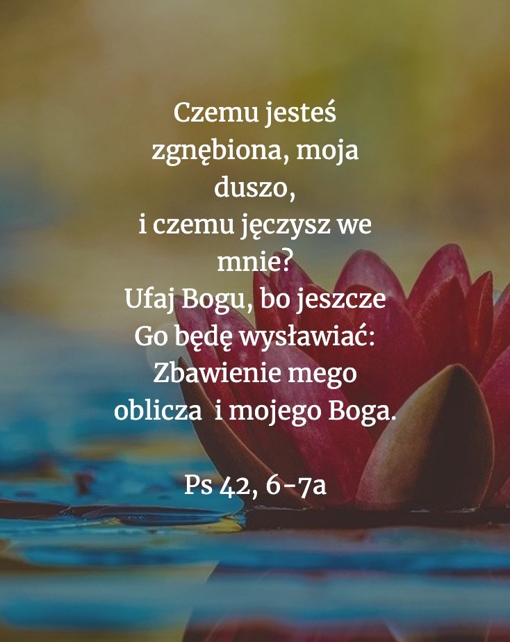 Cytat z Biblii dla ciebie na dziś [27 października]