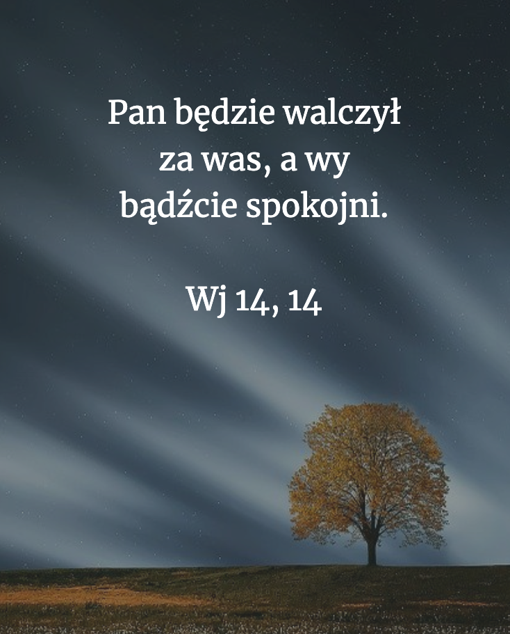 Cytat z Biblii dla ciebie na dziś [23 października]