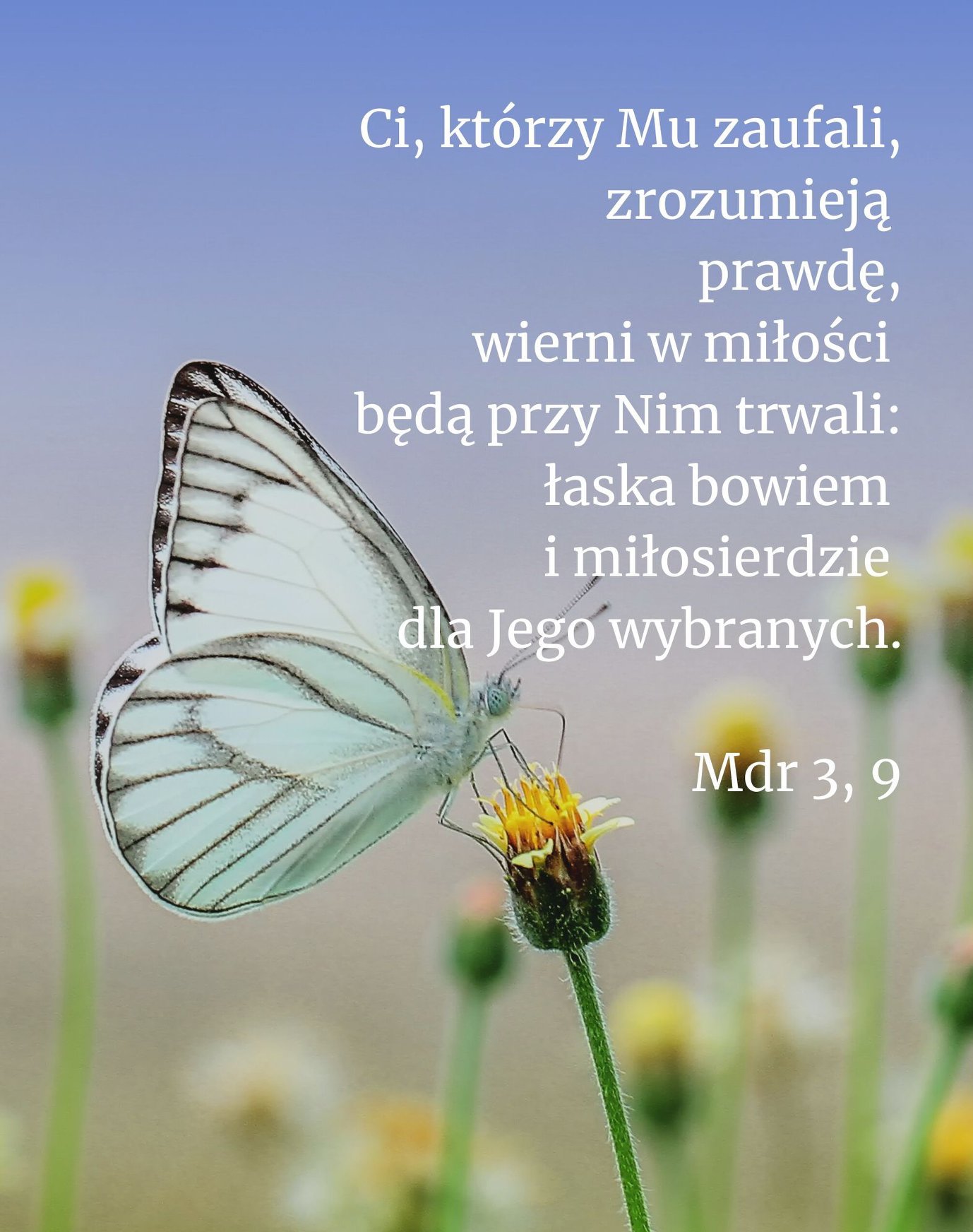 Cytat z Biblii dla ciebie na dziś [26 listopada]