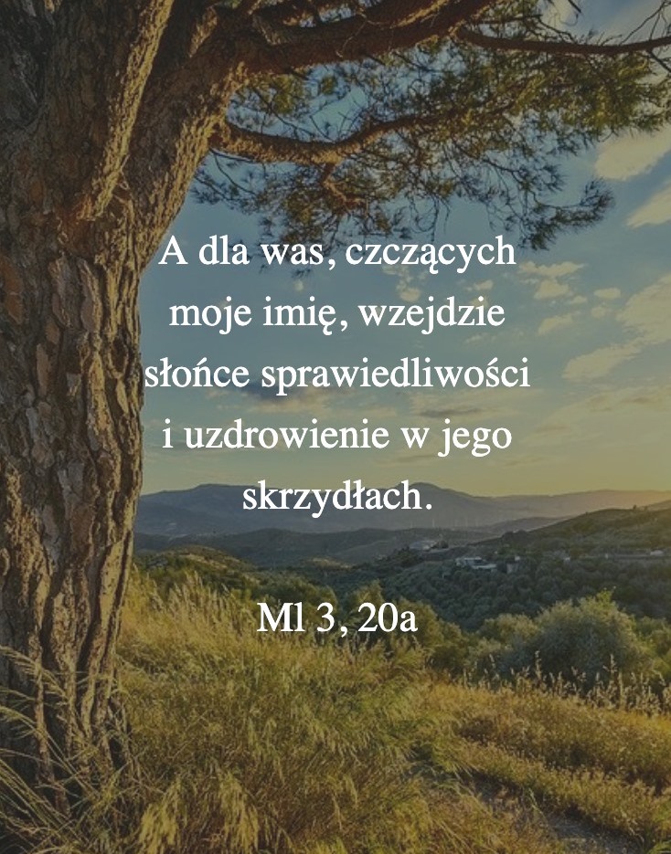 Cytat z Biblii dla ciebie na dziś [7 lipca]