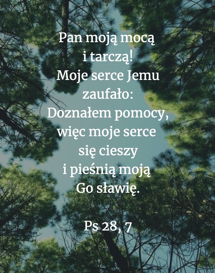 Cytat z Biblii dla ciebie na dziś [12 listopada]