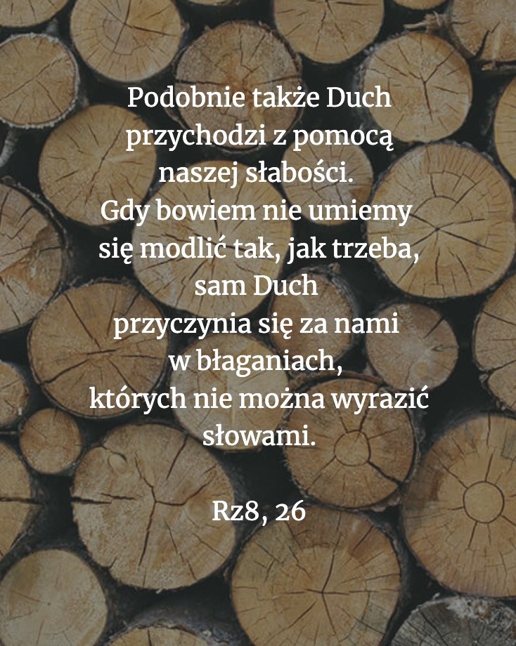 Cytat z Biblii dla ciebie na dziś [5 listopada]