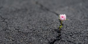 Przychodzący z daleka do Boga często zawstydzają swą wiarą tych, którzy są blisko [komentarz do czytań]