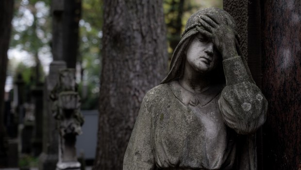 Jak dobrze znacie Powązki?