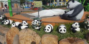 Bóg się rodzi… w Hongkongu. Tak wygląda chrześcijaństwo na Dalekim Wschodzie! [zdjęcia]