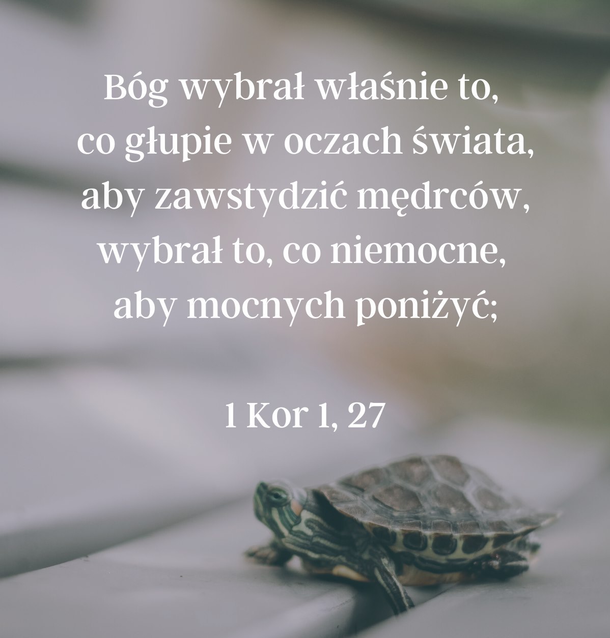 Cytat z Biblii dla ciebie na dziś [30 grudnia]