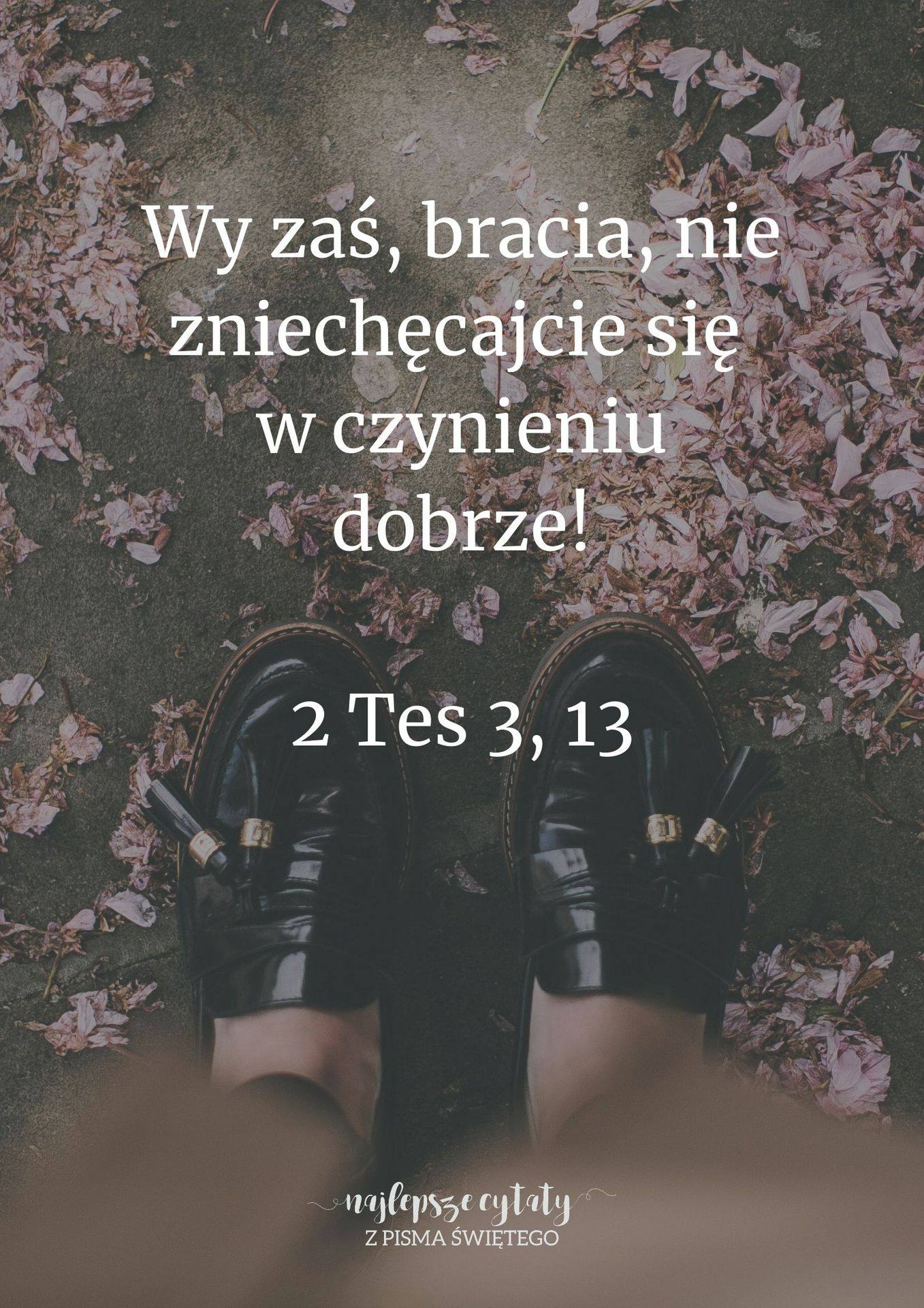 Cytat z Biblii dla ciebie na dziś [10 grudnia]