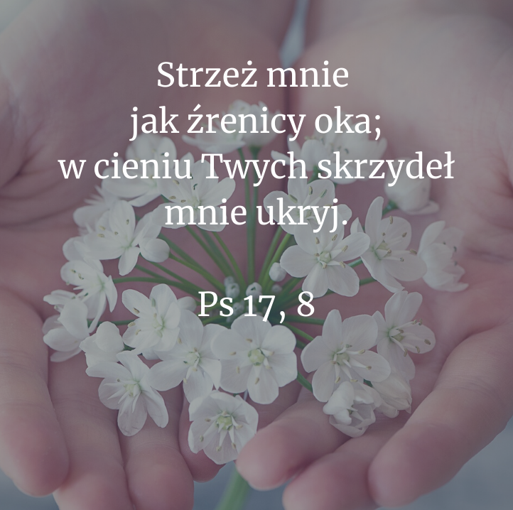 Cytat z Biblii dla ciebie na dziś [9 grudnia]
