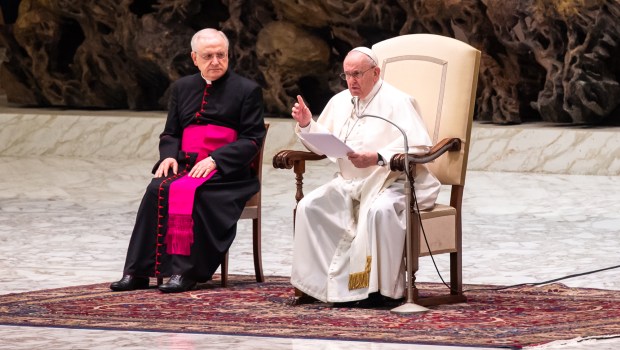 Pope Francis Audience