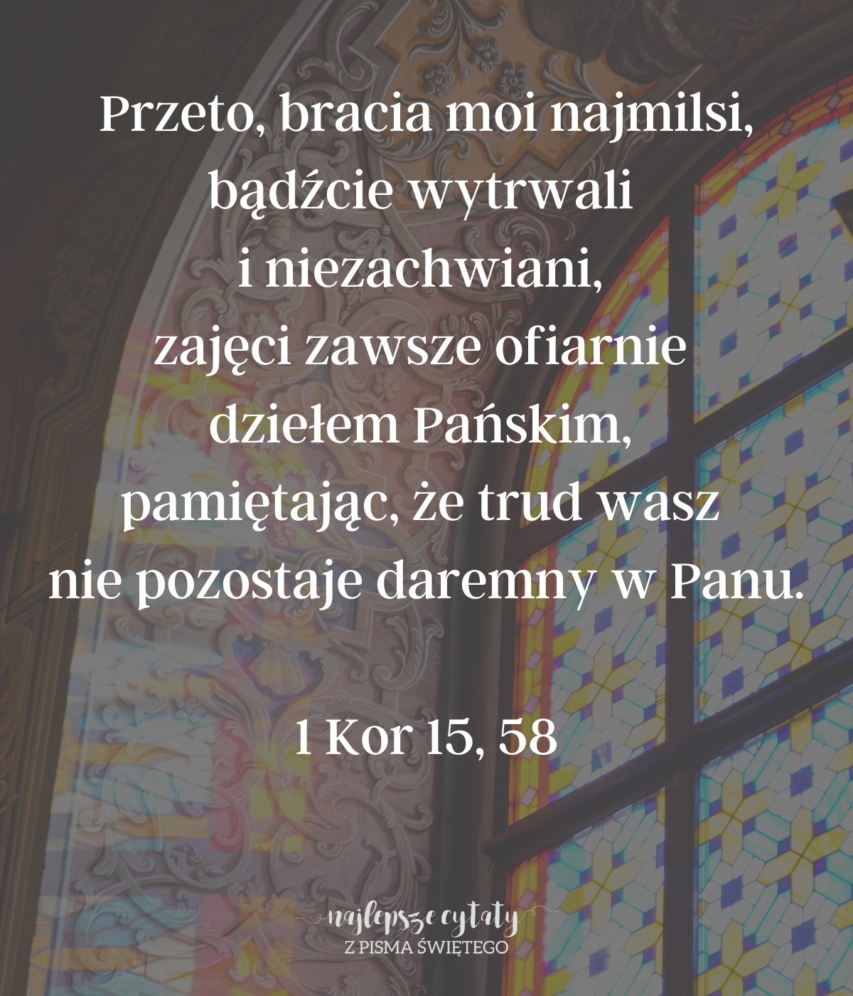 Cytat z Biblii dla ciebie na dziś [11 stycznia]