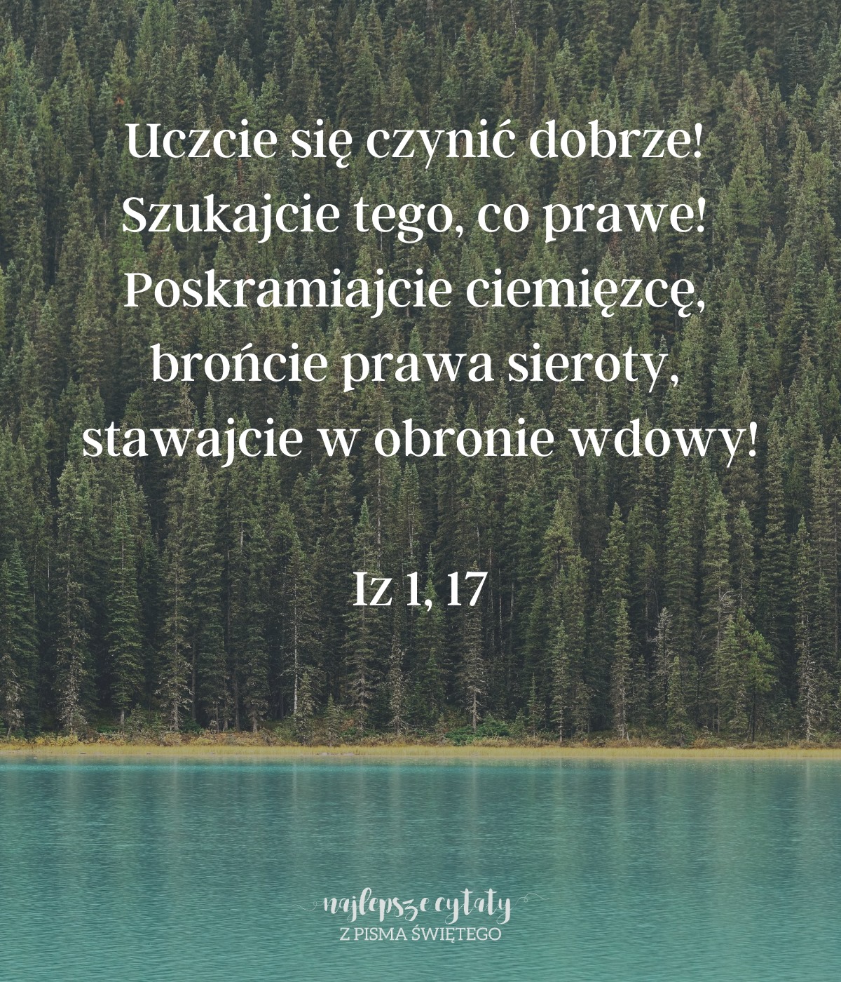 Cytat z Biblii dla ciebie na dziś [14 stycznia]