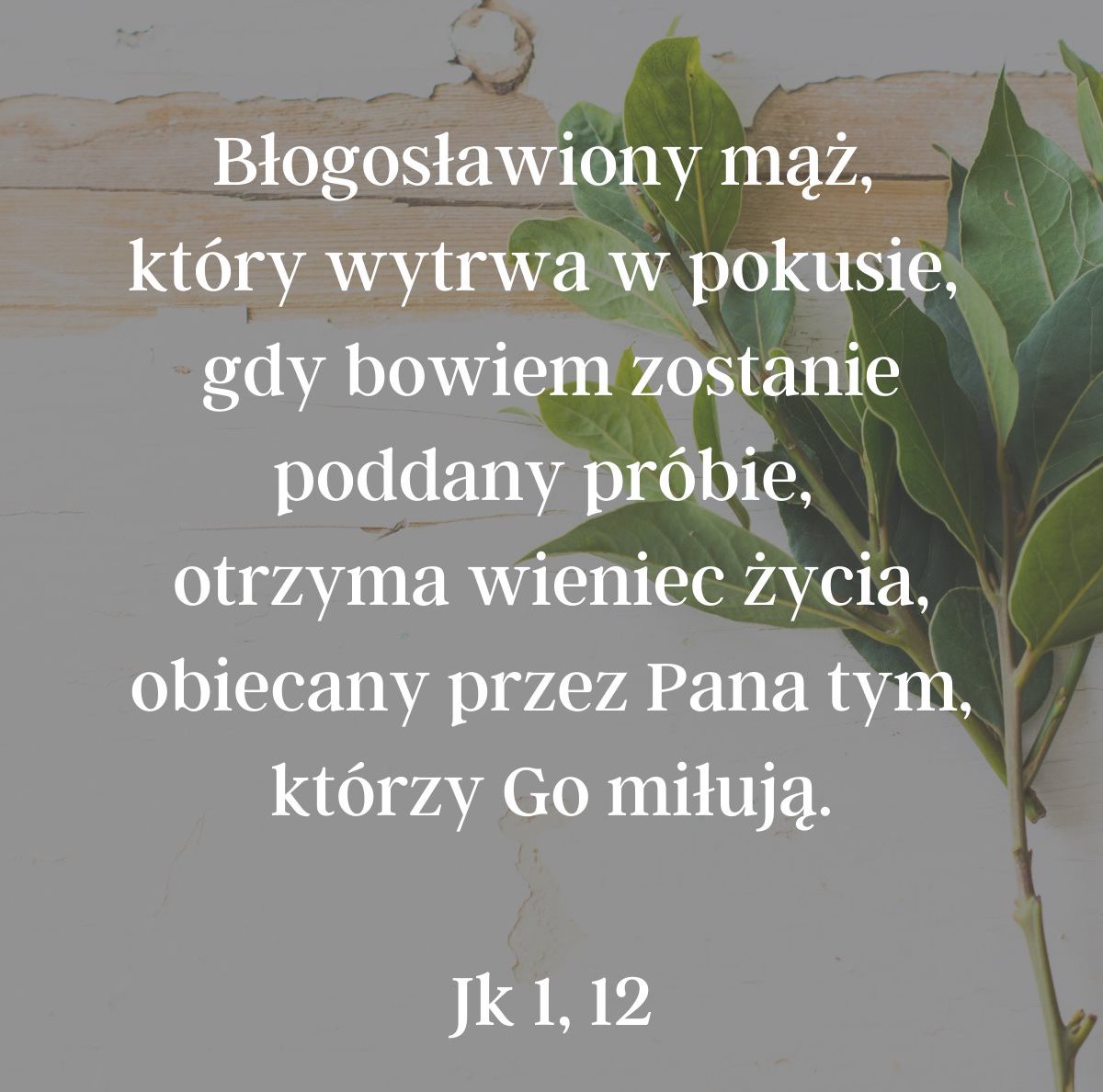 Cytat z Biblii dla ciebie na dziś [21 stycznia]