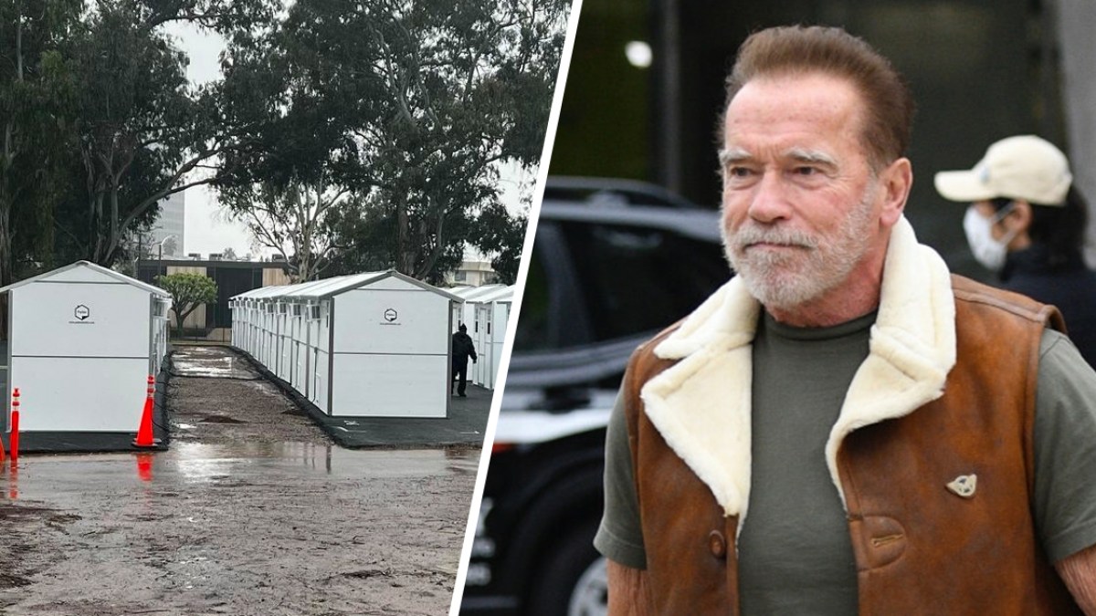 ARNOLD SCHWARZENEGGER