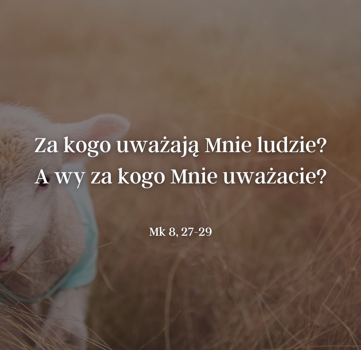 Cytat z Biblii dla ciebie na dziś [23 lutego]