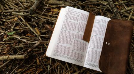 Cytat z Biblii dla ciebie na dziś 
 9 lutego