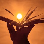 12 biblijnych cytatów, które umocnią w walce z depresją