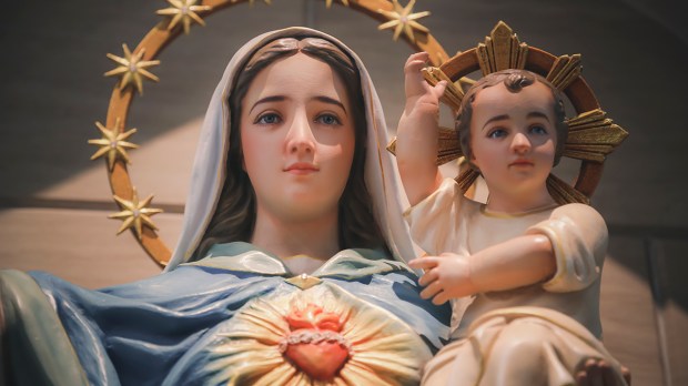 Niepokalane Serce Najświętszej Maryi Panny