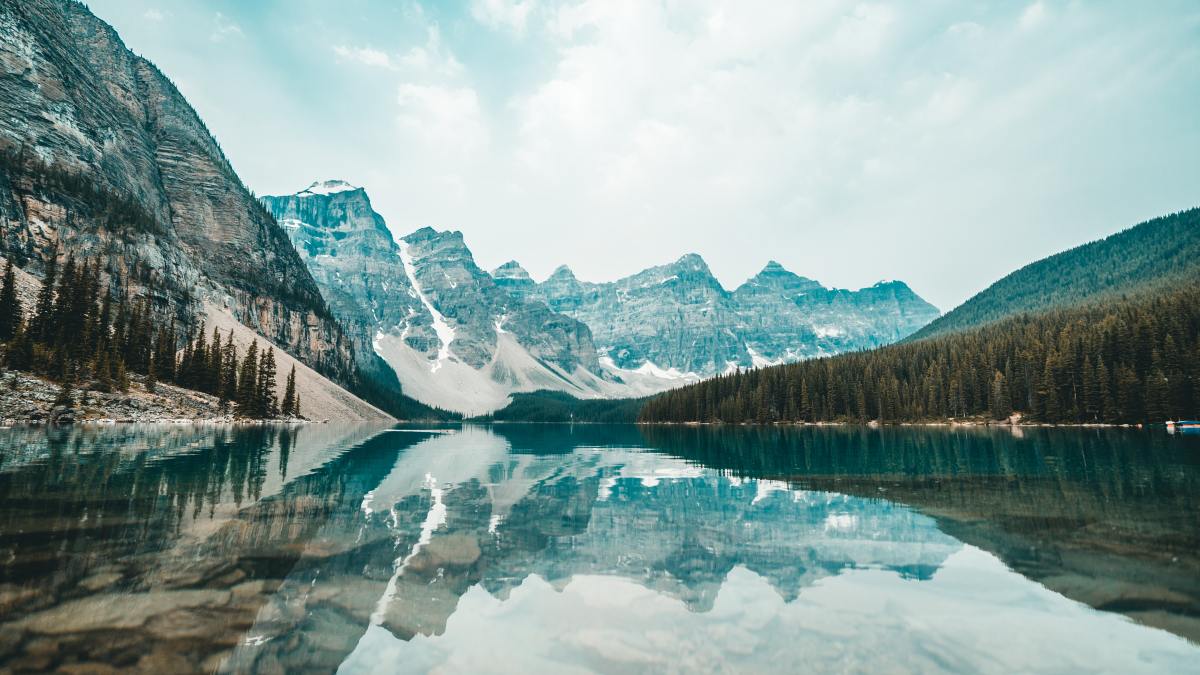 redd-gdQnsMbhkUs-unsplash.jpg
