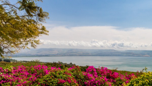 Panorama Jeziora Galilejskiego wiosną - widok z Góry Błogosławieństw