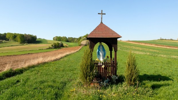 tradycyjna przydrożna kapliczka z Maryją stojąca pośród pól, Polska