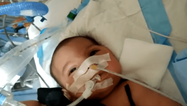 Bebê sai de coma após intercessão de São Charbel