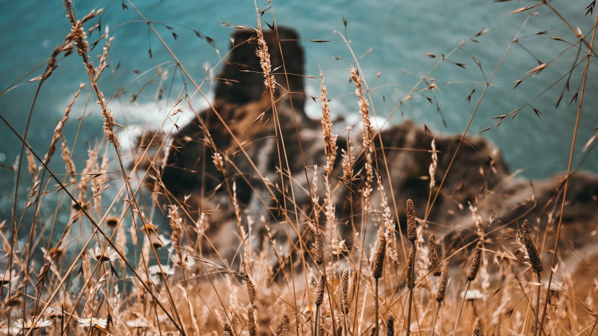 kal-visuals-xqcM1Rr9TfE-unsplash.jpg