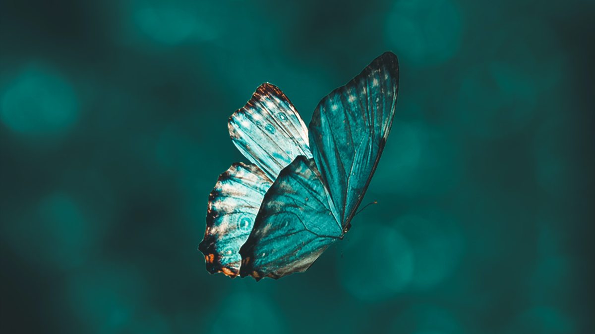 aarn-giri-IBhsB71R97k-unsplash.jpg