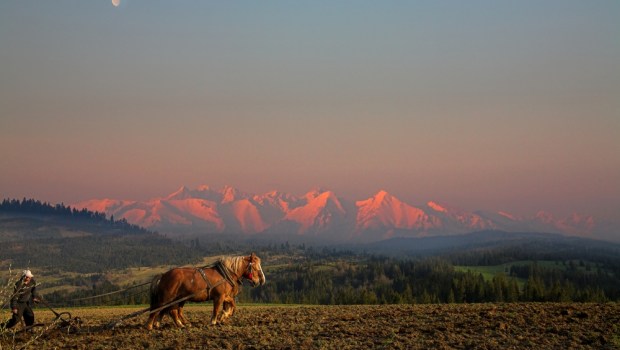 orka konna w górach