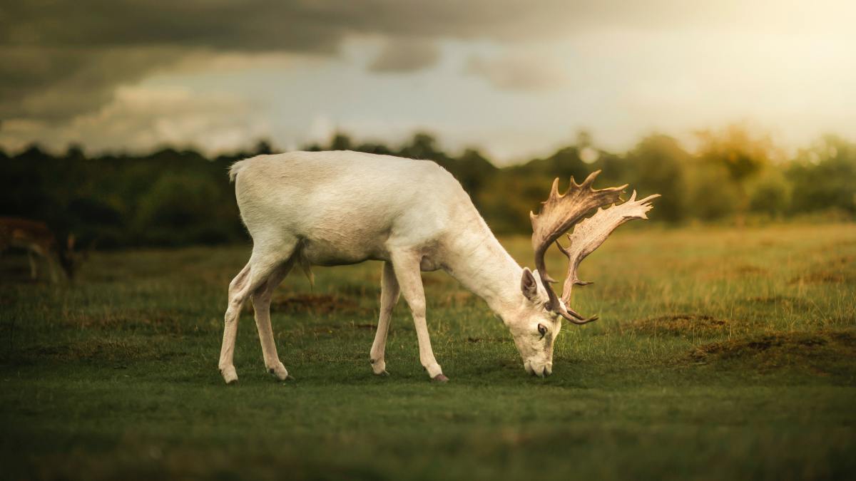 zoltan-tasi-nVhnz0v6Oew-unsplash-1.jpg