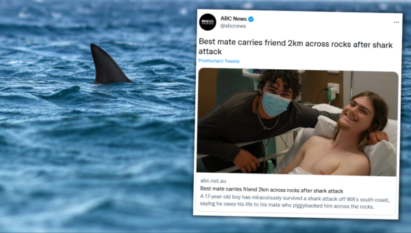 nastolatek uratował kumpla pogryzionego przez rekina