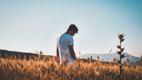 mężczyzna idzie przez pole pszenicy o zachodzie słońca