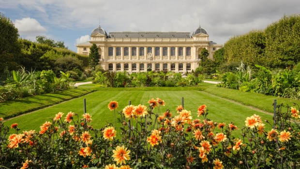 Ogród botaniczny Jardin des Plantes w Paryżu
