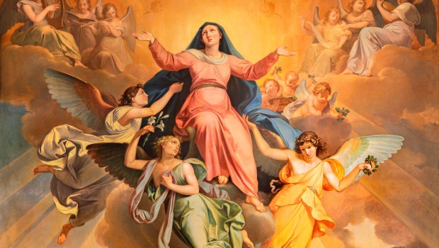 Santa-Maria-Assunta-by-Giuseppe-Craffonara-shutterstock