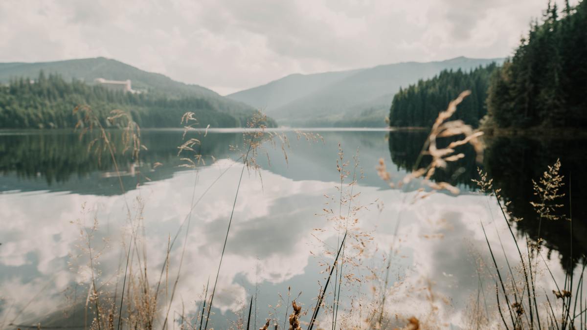 toa-heftiba-LM-L8uDkkJU-unsplash.jpg