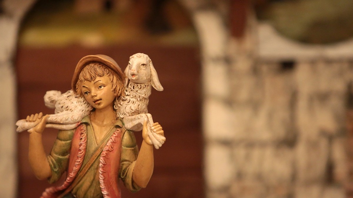 Shepherd. Crib.