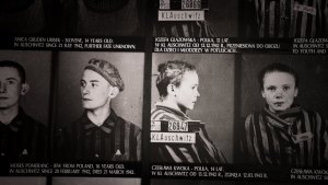 fotografie młodych więźniów w muzeum Auschwitz wykonane przez Wilhelma Brasse