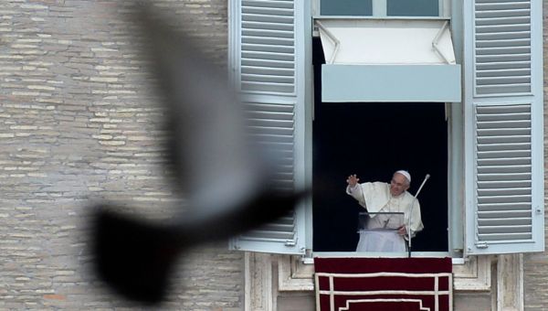Papież Franciszek w trakcie modlitwy Anioł Pański z gołębiem