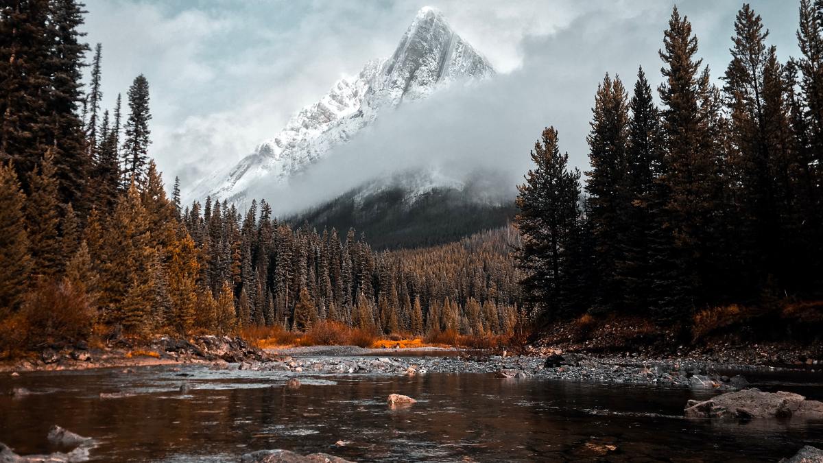 scott-goodwill-dYqRC-EtKFM-unsplash.jpg