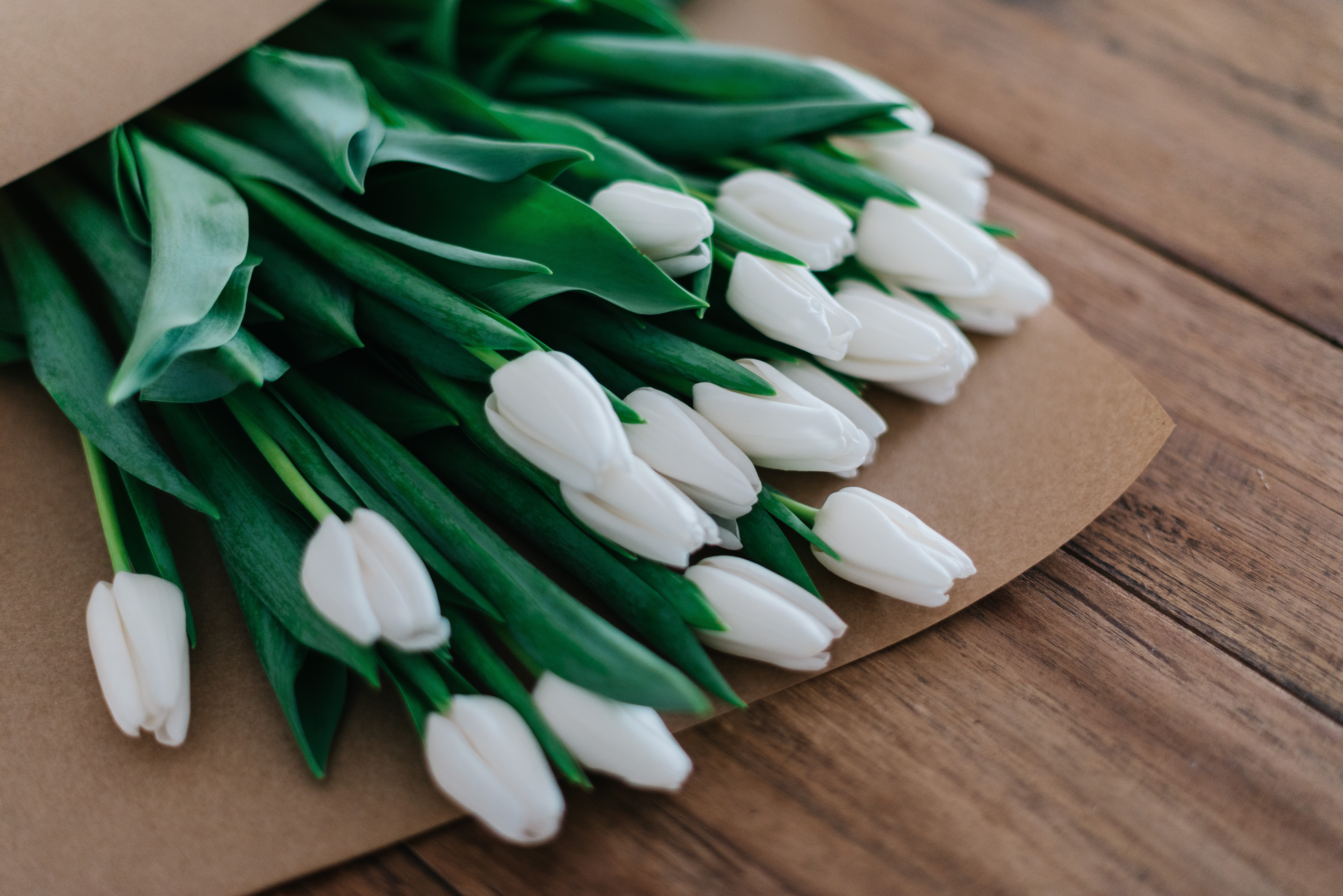 bouquet of white tulips wrapped in gray paper